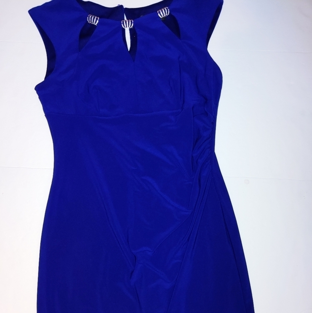 Scarlett Fitted Dress 8
